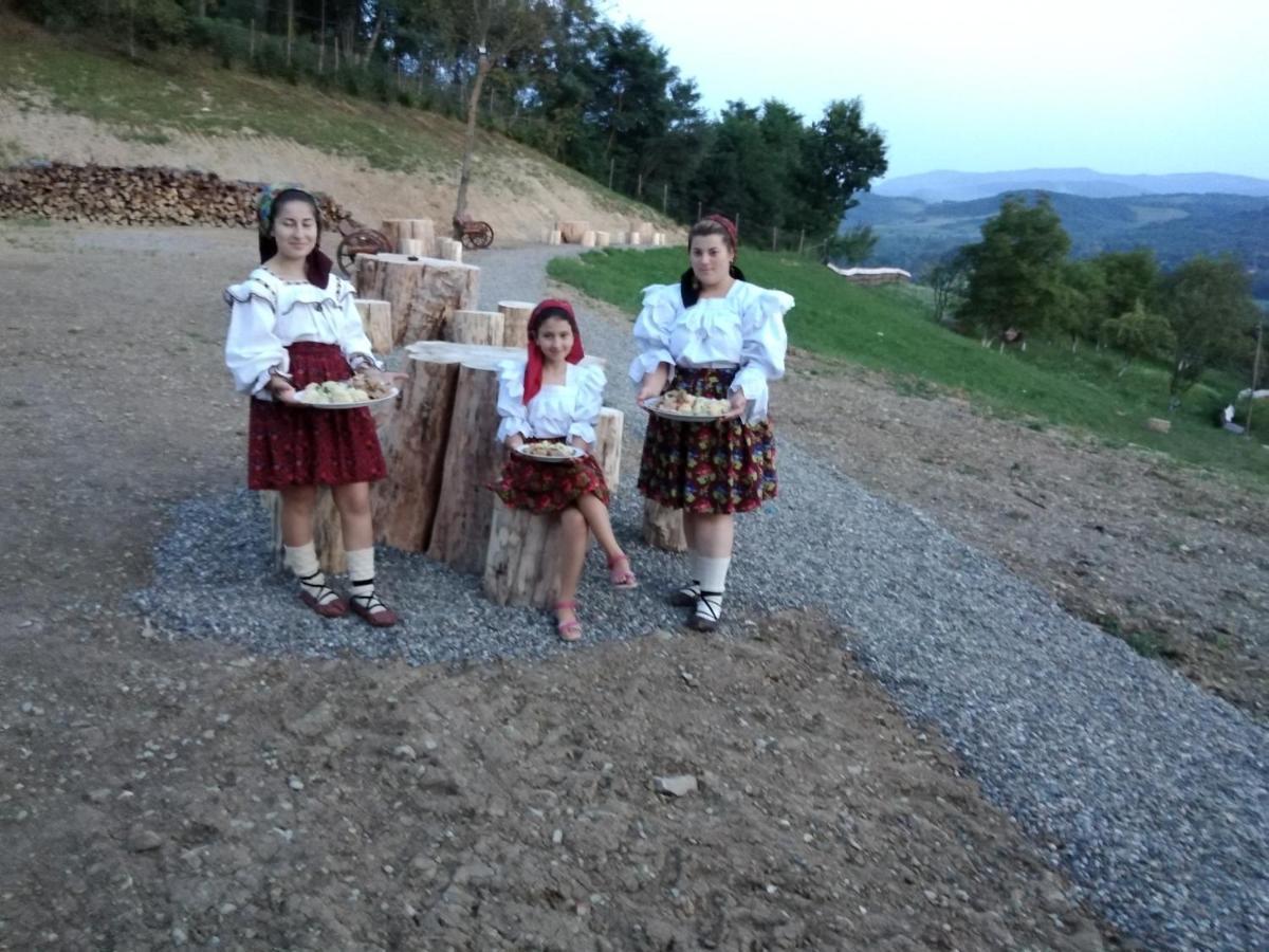 Pensiunea Valea Branzei Nanesti Buitenkant foto
