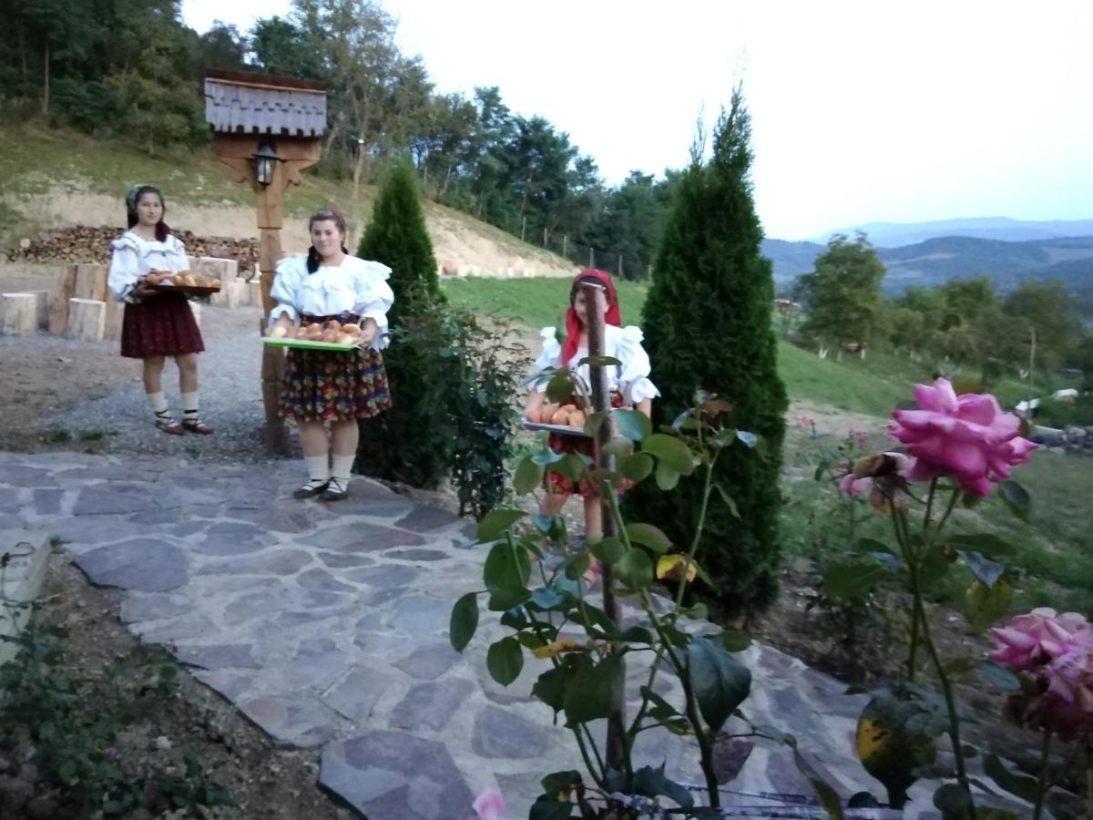 Pensiunea Valea Branzei Nanesti Buitenkant foto