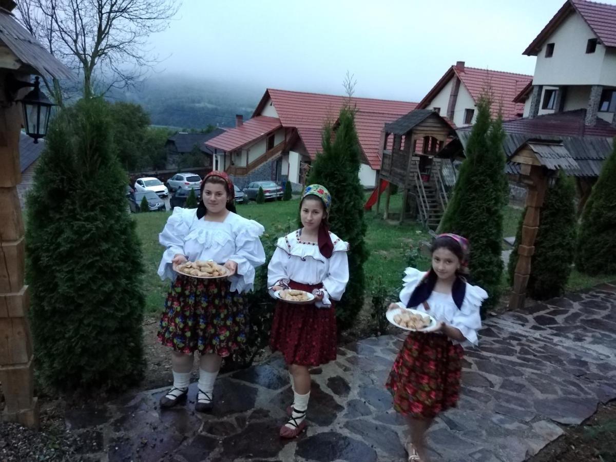 Pensiunea Valea Branzei Nanesti Buitenkant foto