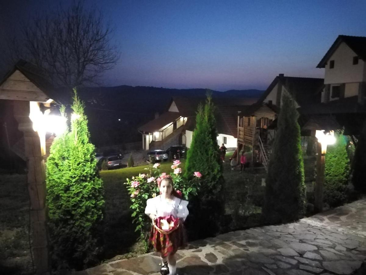 Pensiunea Valea Branzei Nanesti Buitenkant foto