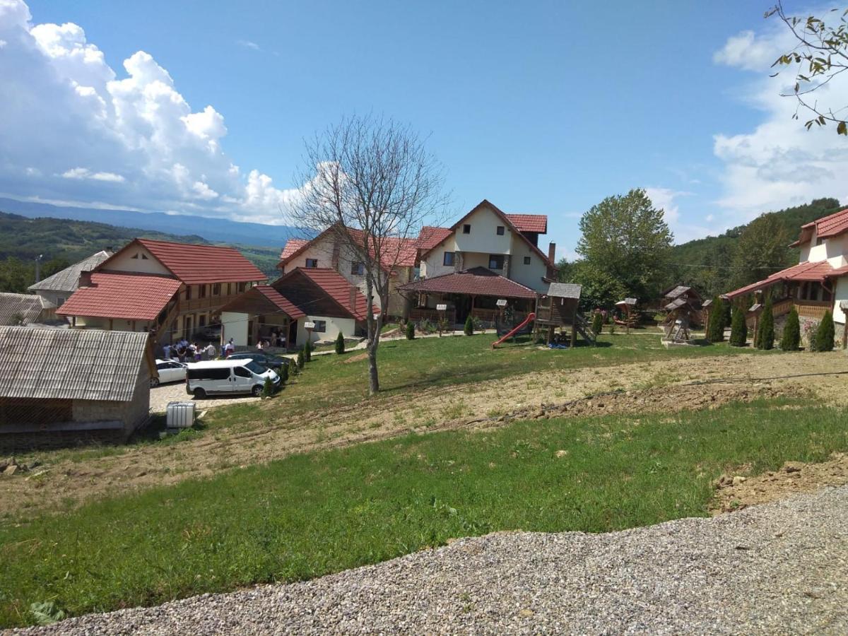 Pensiunea Valea Branzei Nanesti Buitenkant foto