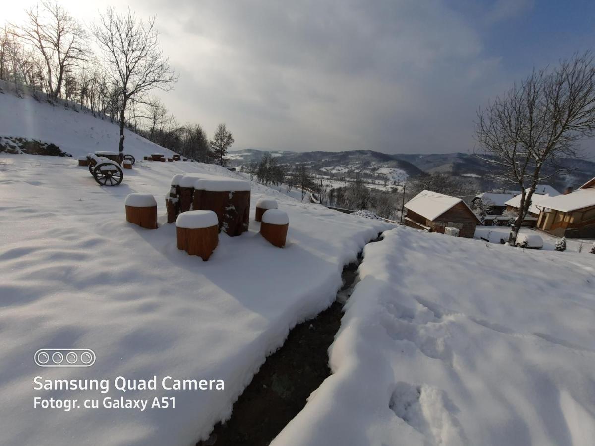 Pensiunea Valea Branzei Nanesti Buitenkant foto