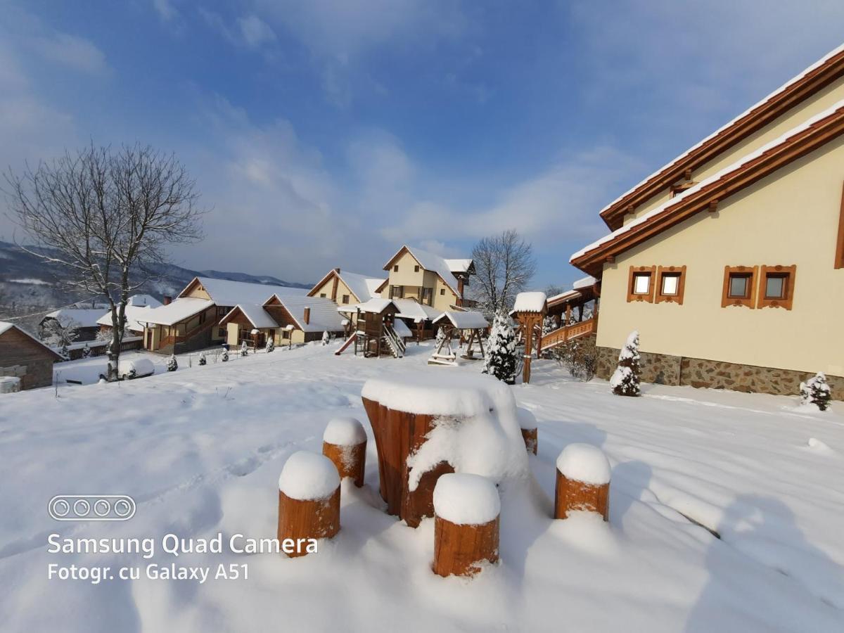 Pensiunea Valea Branzei Nanesti Buitenkant foto