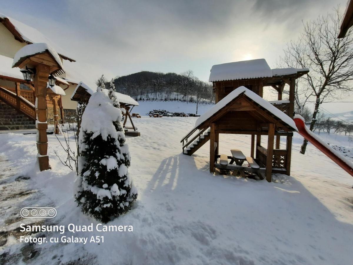 Pensiunea Valea Branzei Nanesti Buitenkant foto