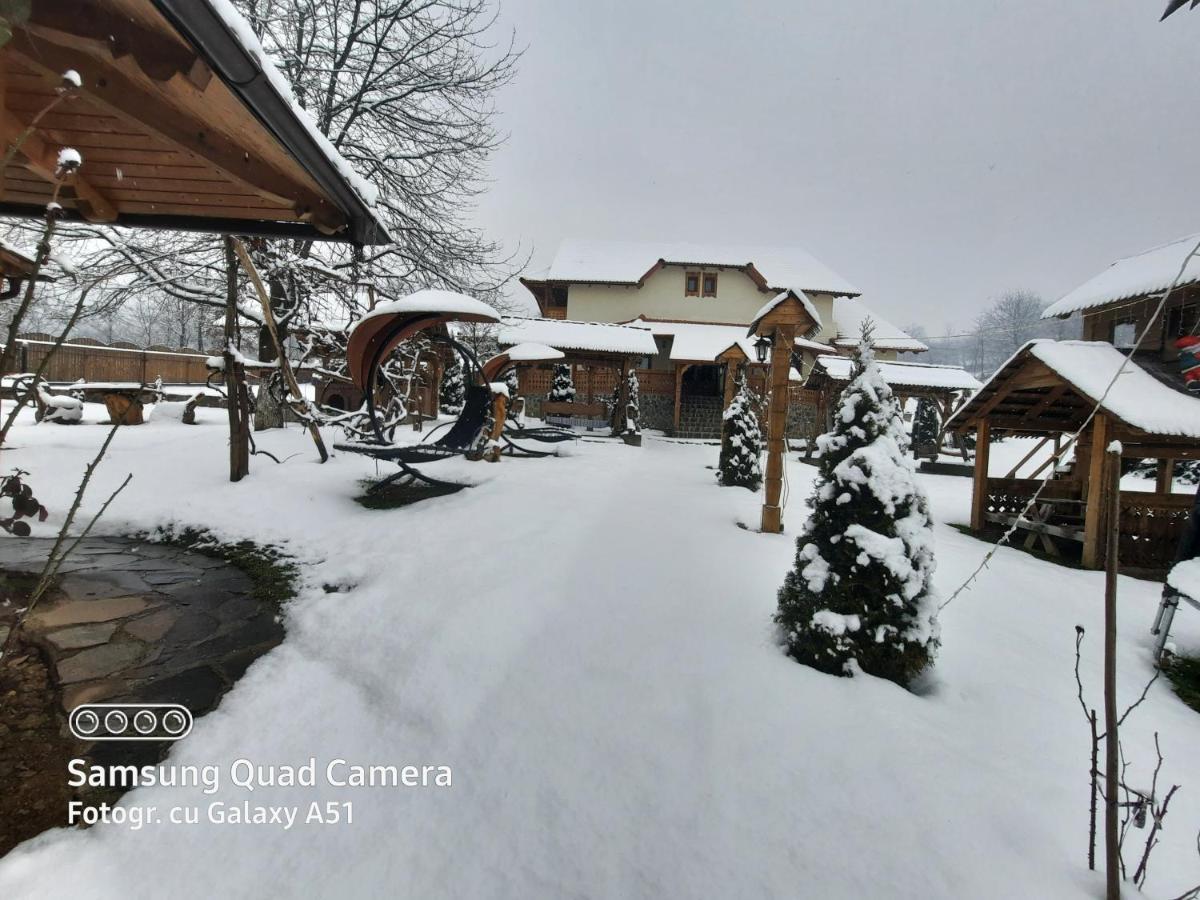 Pensiunea Valea Branzei Nanesti Buitenkant foto