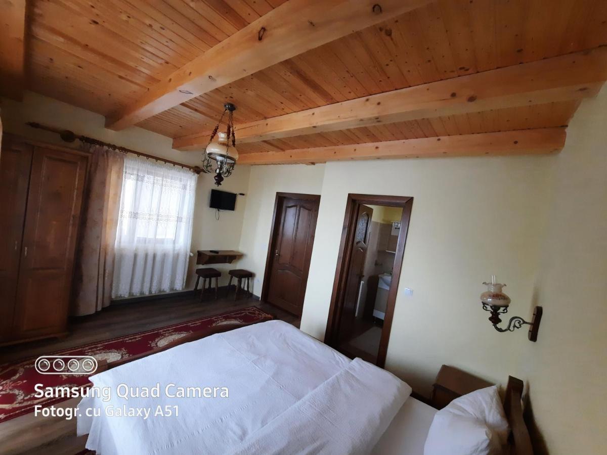 Pensiunea Valea Branzei Nanesti Buitenkant foto