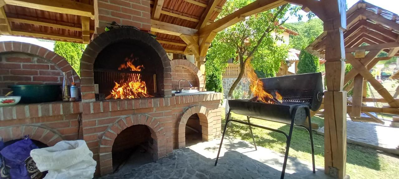 Pensiunea Valea Branzei Nanesti Buitenkant foto