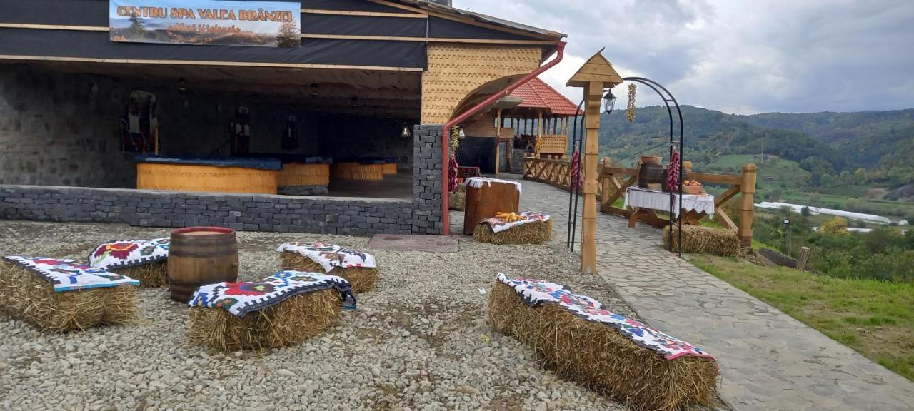 Pensiunea Valea Branzei Nanesti Buitenkant foto