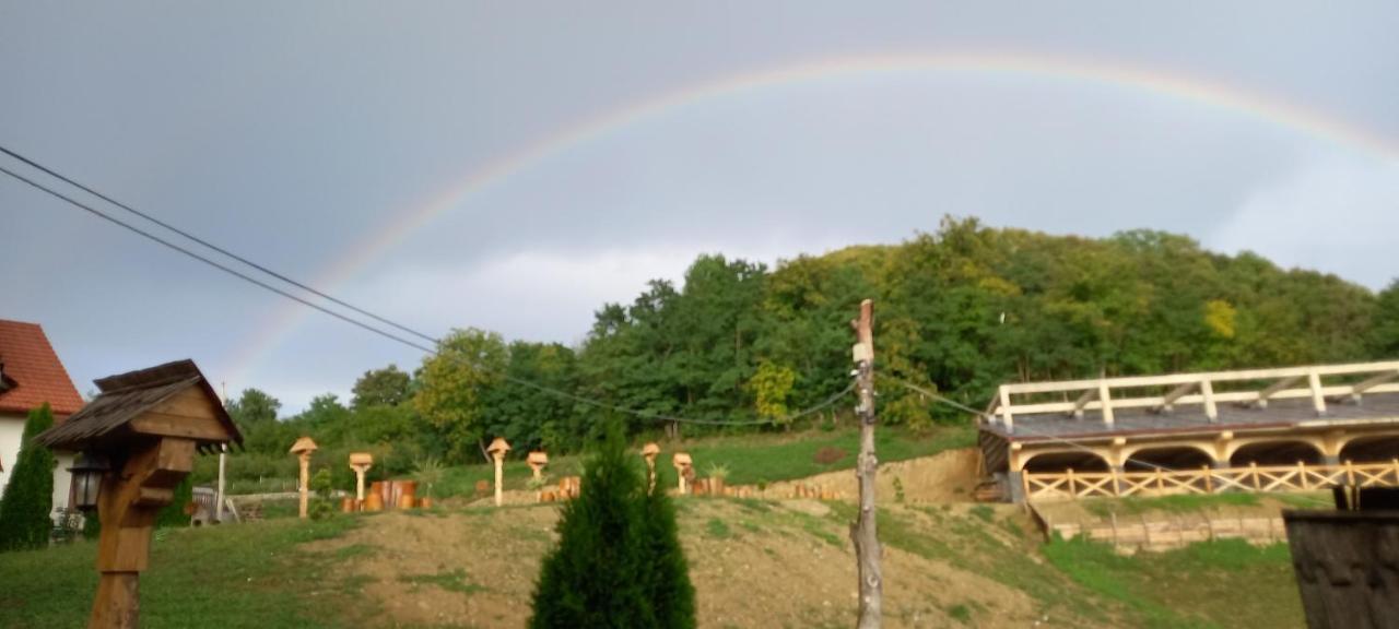 Pensiunea Valea Branzei Nanesti Buitenkant foto
