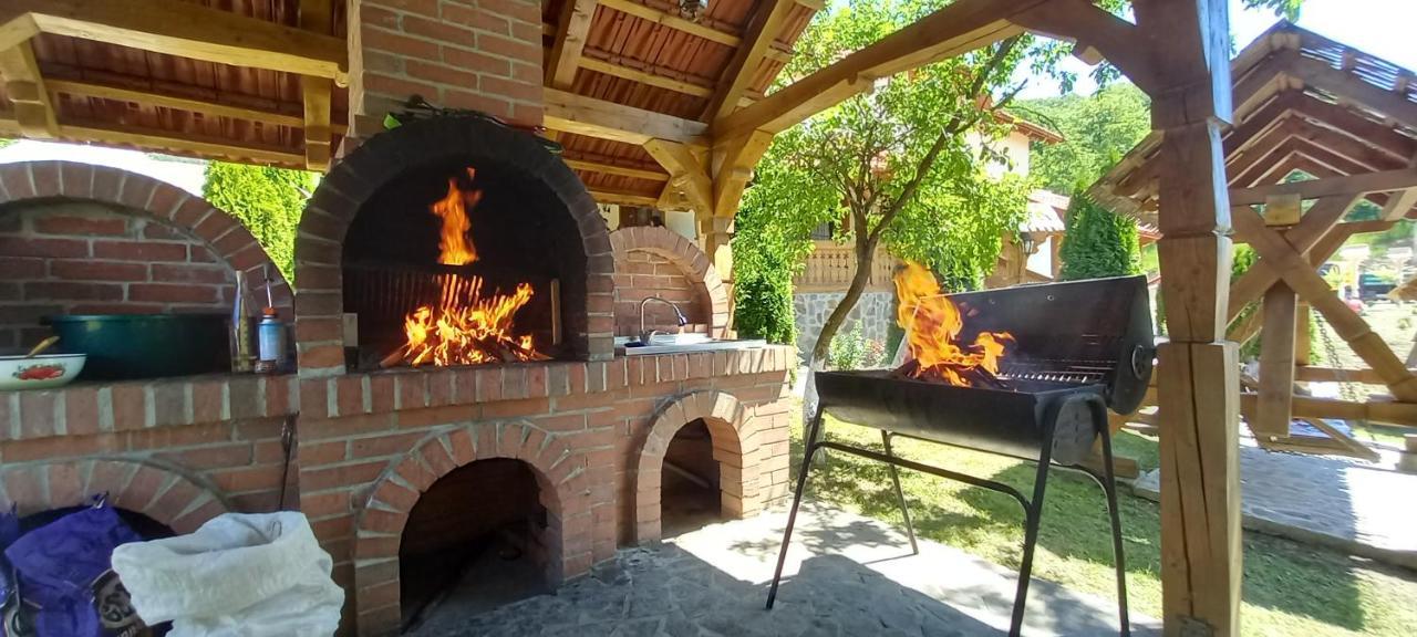 Pensiunea Valea Branzei Nanesti Buitenkant foto