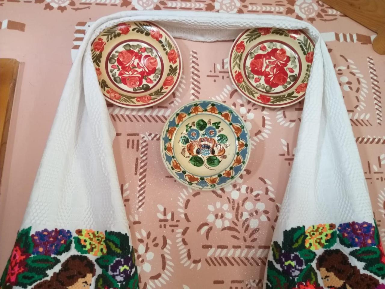 Pensiunea Valea Branzei Nanesti Buitenkant foto