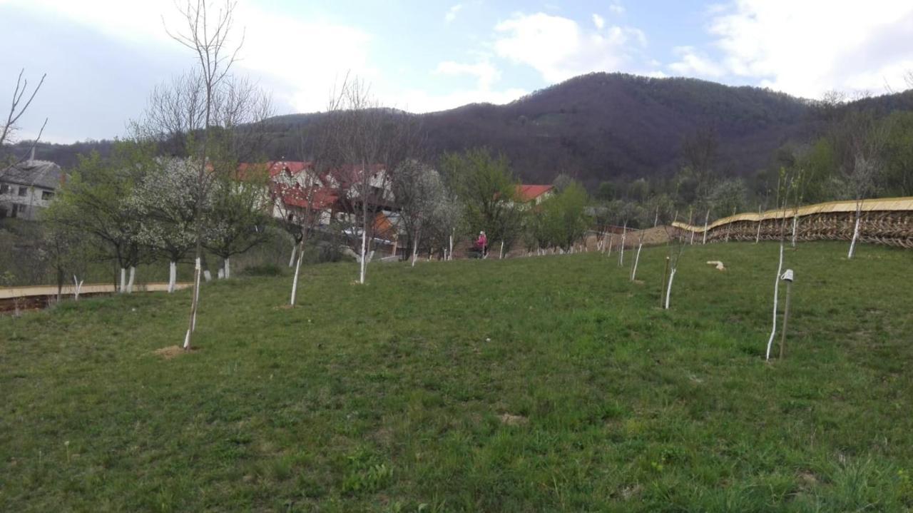 Pensiunea Valea Branzei Nanesti Buitenkant foto